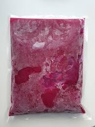 THANH LONG ĐỎ XAY NHUYỄN ĐÔNG LẠNH