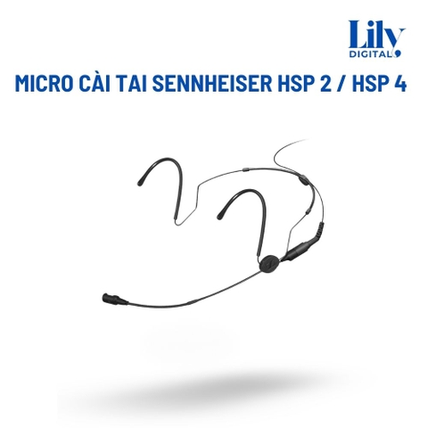 Cho Thuê Micro Cài Tai Sennheiser HSP 2 / HSP 4 Tại Hà Nội | Gọn Nhẹ, Rõ Tiếng