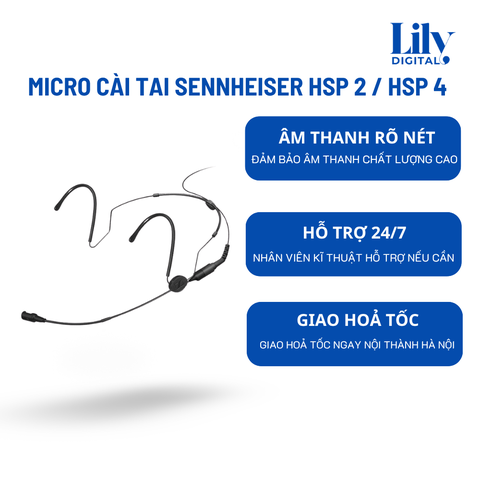 Cho Thuê Micro Cài Tai Sennheiser HSP 2 / HSP 4 Tại Hà Nội | Gọn Nhẹ, Rõ Tiếng
