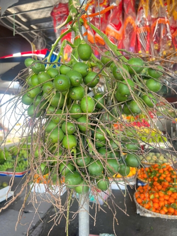 HKD Nguyễn Thị Hoa - 0379867758