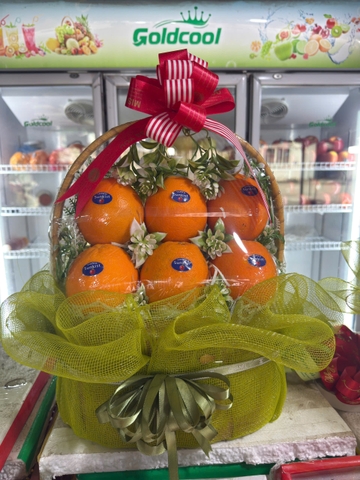 HKD Nguyễn Thị Hoa - 0379867758