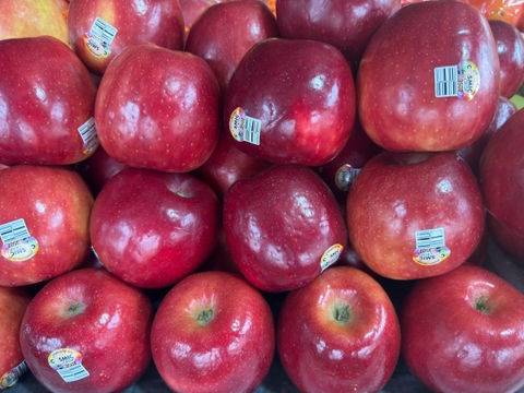 HKD Nguyễn Thị Hoa - 0379867758