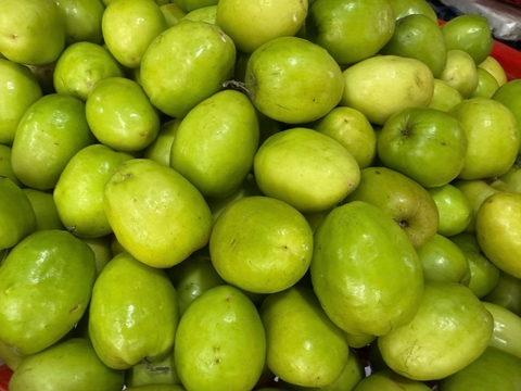 HKD Nguyễn Thị Hoa - 0379867758