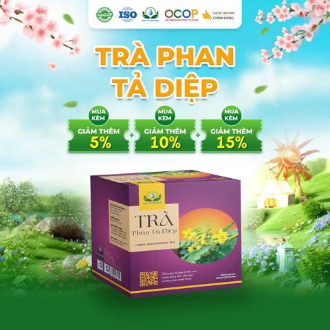 Trà Phan Tả Diệp