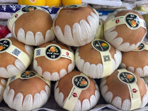 HKD Nguyễn Thị Hoa - 0379867758