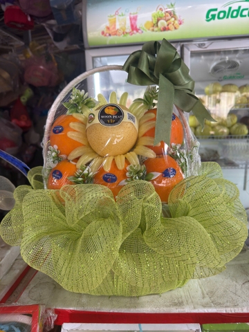 HKD Nguyễn Thị Hoa - 0379867758