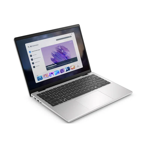 Dell 14 DC14255 R7165W Ryzen 7 250 16GB 512GB SSD 14 inch WUXGA Win 11 SL (R7165W11SLU)