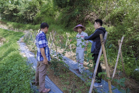 Hành trình của chúng tôi