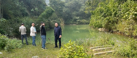 Dự án liên kết cộng đồng – mô hình kinh tế dược liệu bền vững