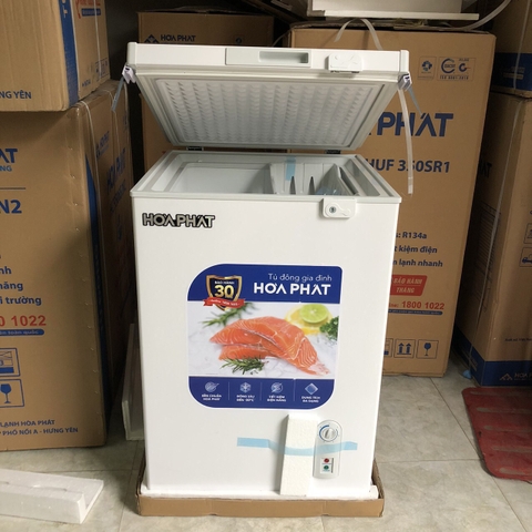 Tủ đông mini Hòa Phát HPF AN6107 107 lít