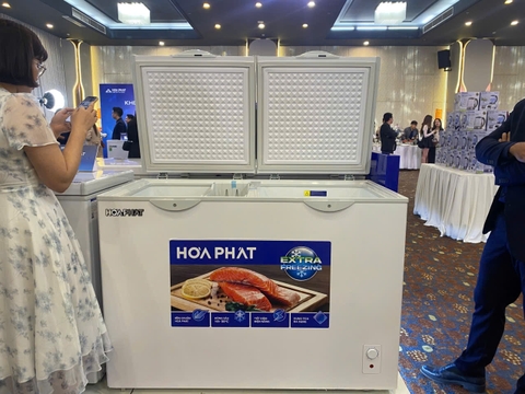 Tủ đông Hòa Phát HPF BD6240 240 lít DÀN ĐỒNG