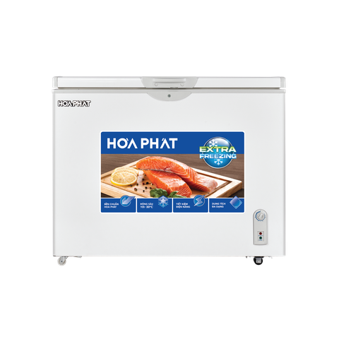 Tủ đông Hòa Phát HCF 516S1Đ1 252 lít DÀN ĐỒNG