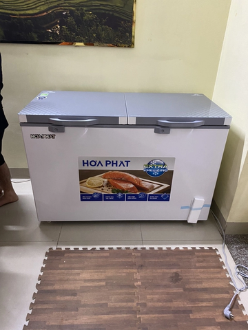 Tủ đông Hòa Phát cánh kính HPF AD6352.T 352 lít DÀN ĐỒNG