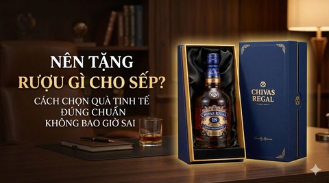 Nên Tặng Rượu Gì Cho Sếp? Cách Chọn Quà Tinh Tế, Đúng Chuẩn Và Không Bao Giờ Sai