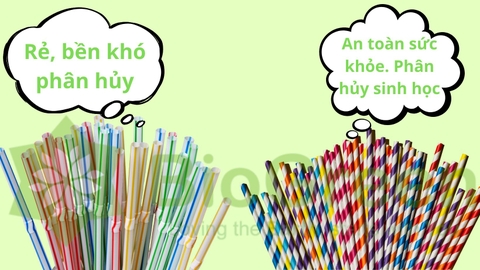 Ống hút giấy có tốt hay không so với ống hút nhựa?