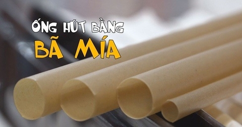 Cách đặt mua ống hút bã mía giá sỉ tại Biogreen như thế nào?