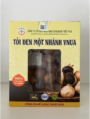 Tỏi đen một nhánh VNUA