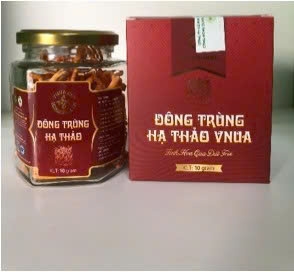 Đông trùng hạ thảo VNUA