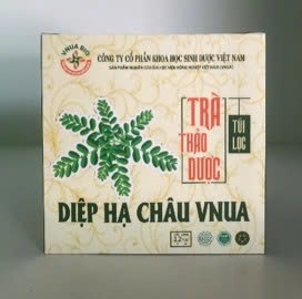 Trà thảo dược Diệp hạ châu VNUA