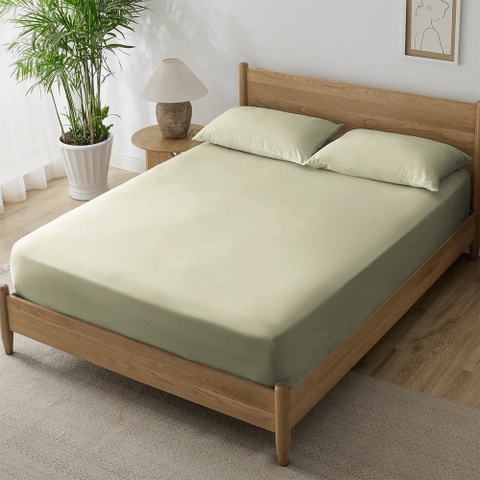 Bộ Ga Gối 100% Cotton Elmich Dr.Sleep