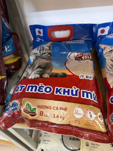 cát silver spoon