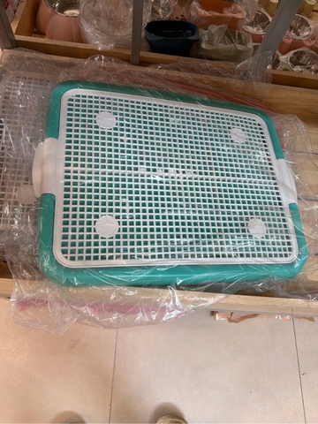 Khay dẹt cho chó