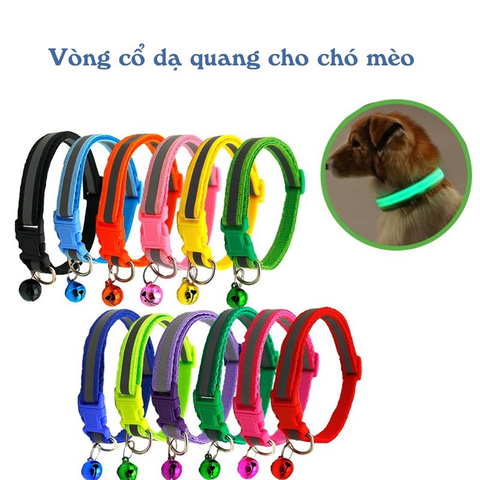 Vòng cổ cho thú cưng phát quang
