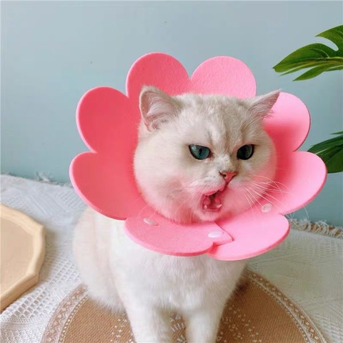 Vòng cổ chống liếm hình bông hoa