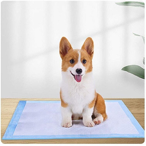 Lót thấm nước tiểu chó mèo Dogs & cats