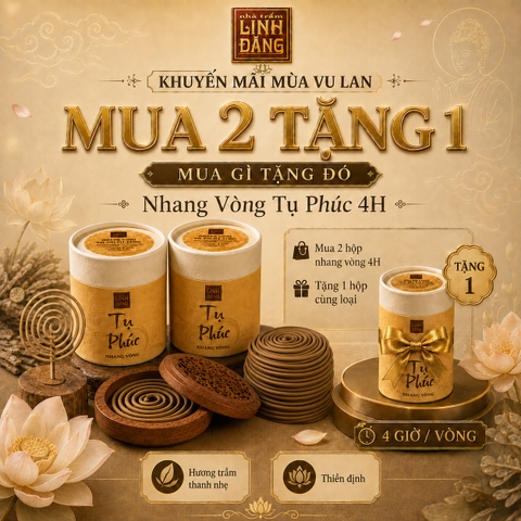 Combo Nhang Vòng Trầm Hương Tụ Phúc 4 Giờ Mua 2 Tặng 1 – Nhang Vòng Nguyên Chất, Xông Thơm, Thiền, Thư Giãn
