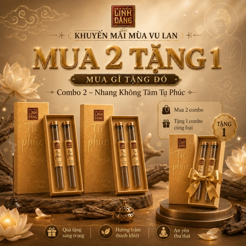 Combo Nhang Trầm Không Tăm Tụ Phúc Mua 2 Tặng 1 – Nhang Trầm Cao Cấp, Hương Thanh Nhẹ, Thiền & Xông Thơm