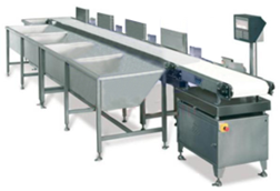 Cân băng tải phân loại hàng hóa