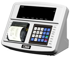 Đầu cân có máy in D30-2P