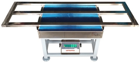 Cân thủy sản E300W