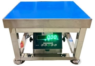 Cân thủy sản B19S