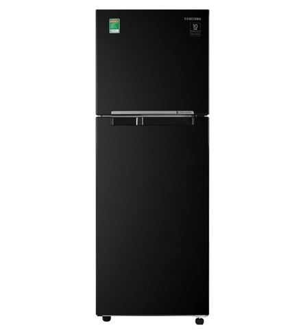 Tủ lạnh Samsung Inverter 236 lít RT22M4032BU/SV