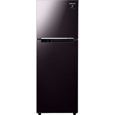 Tủ lạnh Samsung Inverter 236 lít RT22M4032BY/SV