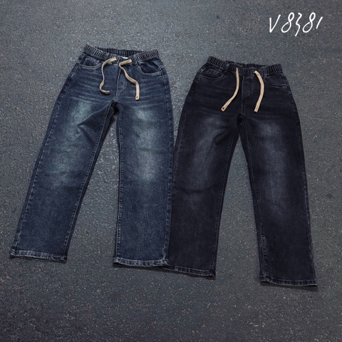 Quần jeans V8381