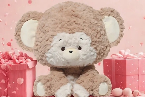 Gấu bông và set quà – lựa chọn tinh tế cho các dịp đặc biệt