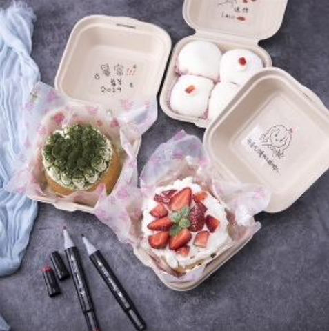 Hộp Bã Mía Bento (Trắng / Nâu)