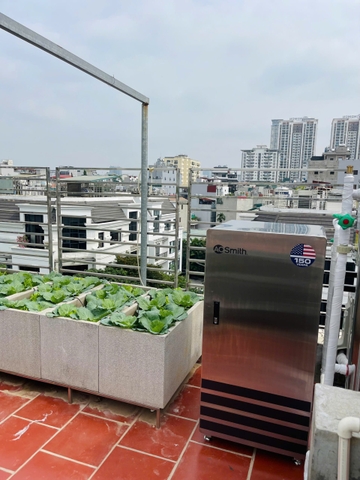 Hệ thống lọc nước đầu nguồn A.O Smith AOW-S400 PLUS