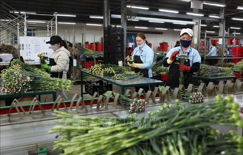 Industrial Network Diagnostics in the Supply Chain and Logistics Industry