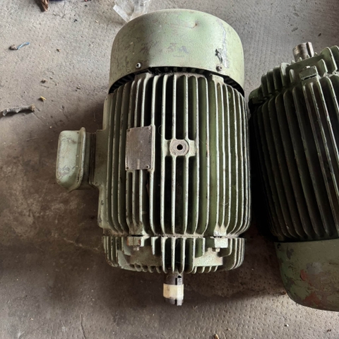 Motor Teco 15Hp -6P tua 970 vòng 145kg