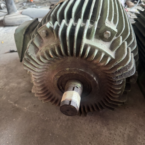 Motor Teco 15Hp -6P tua 970 vòng 145kg