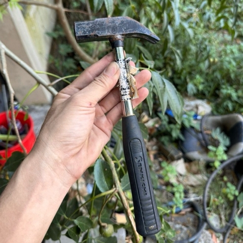Búa Đinh Búa Gõ Xỉ Hàn Búa Tạ Hàng Nội Địa Nhât