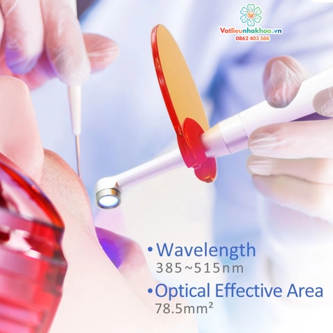 Đèn trám quang trùng hợp COXO DB686 Q1