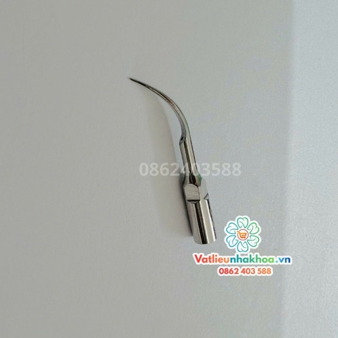 Mũi Lấy Cao Vỉ 5 Mũi Răng Gắn Vào Máy Lấy Cao Woodpecker, B5, B6, DTE