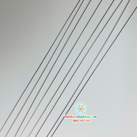 Dây cung SS thẳng