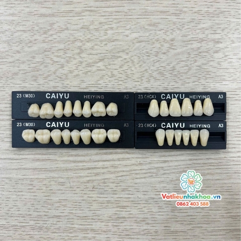 Răng nhựa nha khoa Synthetic resin teeth ( Vỉ 28 chiếc)