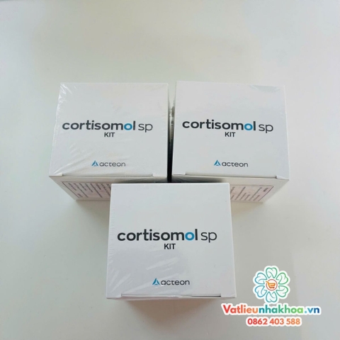 Cement trám bít ống tủy Cortisomol